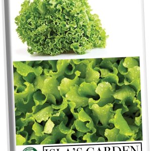 Semillas de lechuga para plantar, más de 1000 semillas de reliquia por paquete, semillas de jardín de Isla (semillas de jardín de Isla), semillas Semillas de lechuga para plantar, más de 1000 semillas de reliquia por paquete, semillas de jardín de Isla (semillas de jardín de Isla), semillas