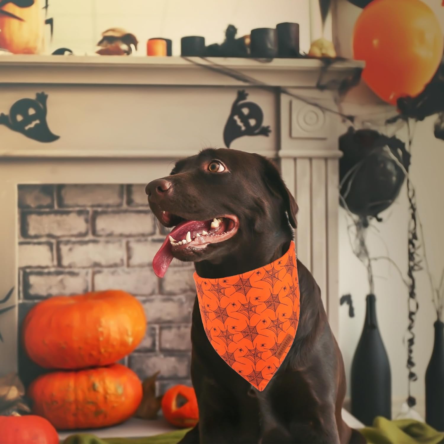 ADOGGYGO Bandana de Halloween para perro, bufanda de perro con diseño de fantasma de telaraña, tela duradera de alta calidad, bandanas de Halloween