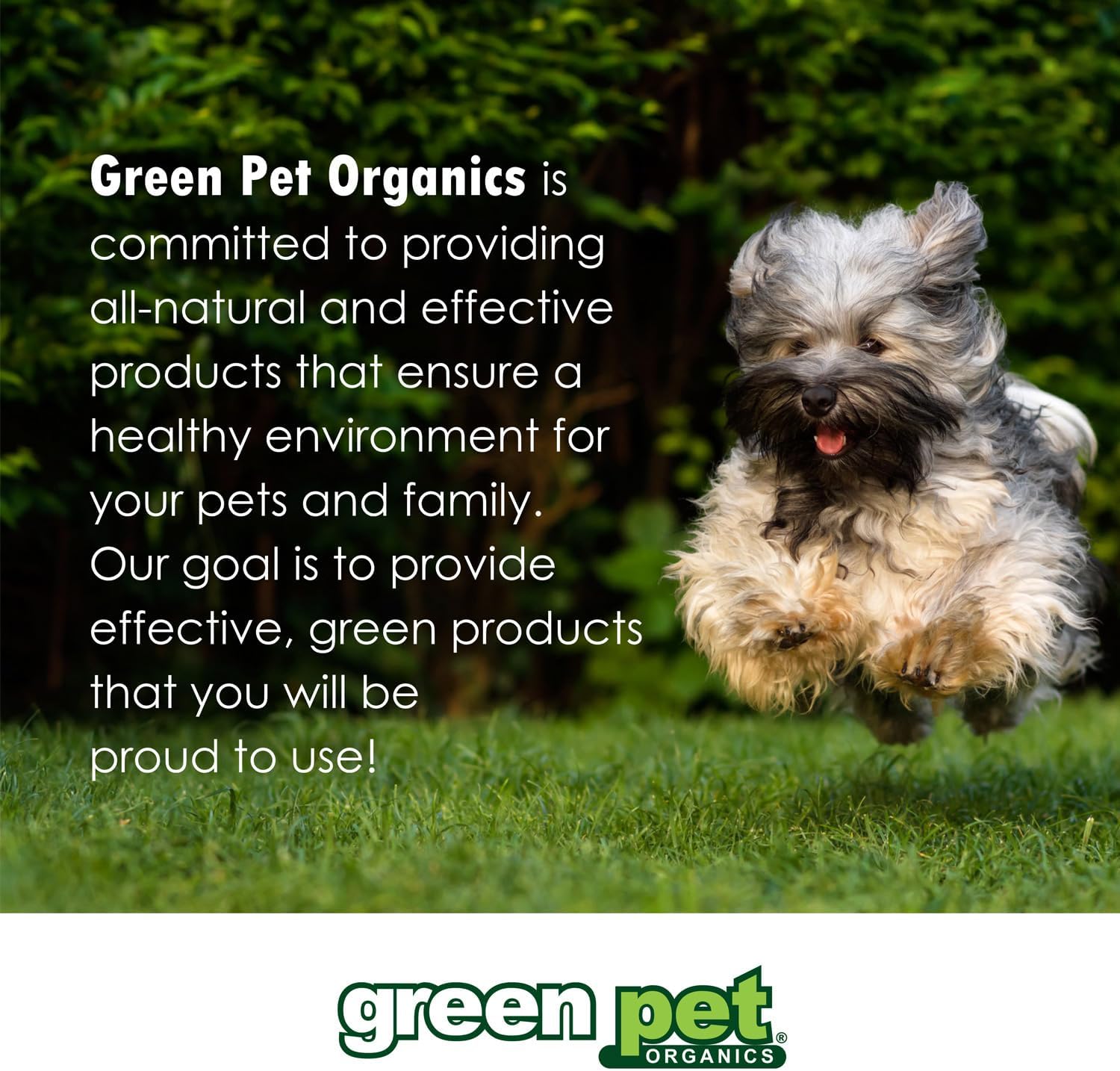 Bonies Aliento y fórmula dental golosinas para perros, ingredientes totalmente naturales, aliento fresco, limpia los dientes, bajo en calorías,