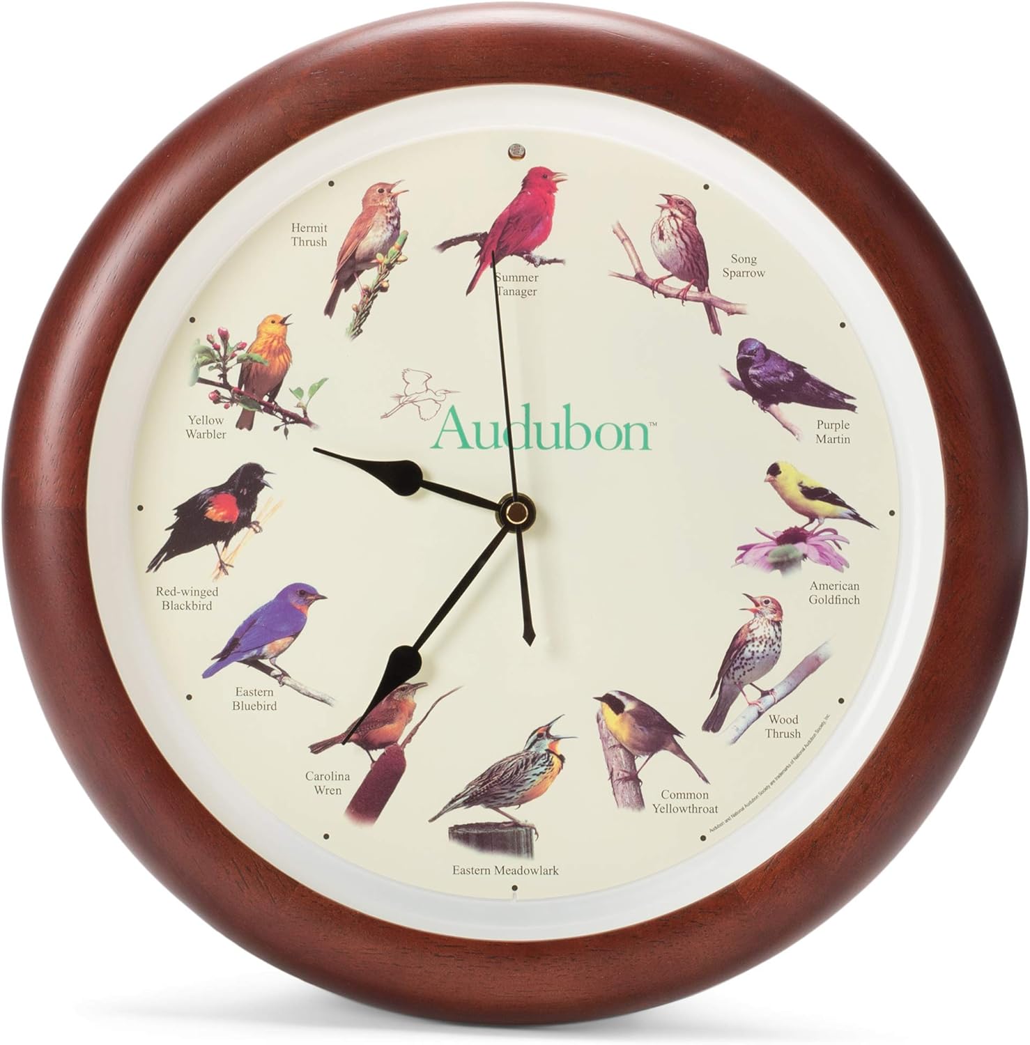 Mark Feldstein Audubon – Reloj de pared con diseño de pájaro cantante, marco de madera con acabado de cerezo de 13 pulgadas