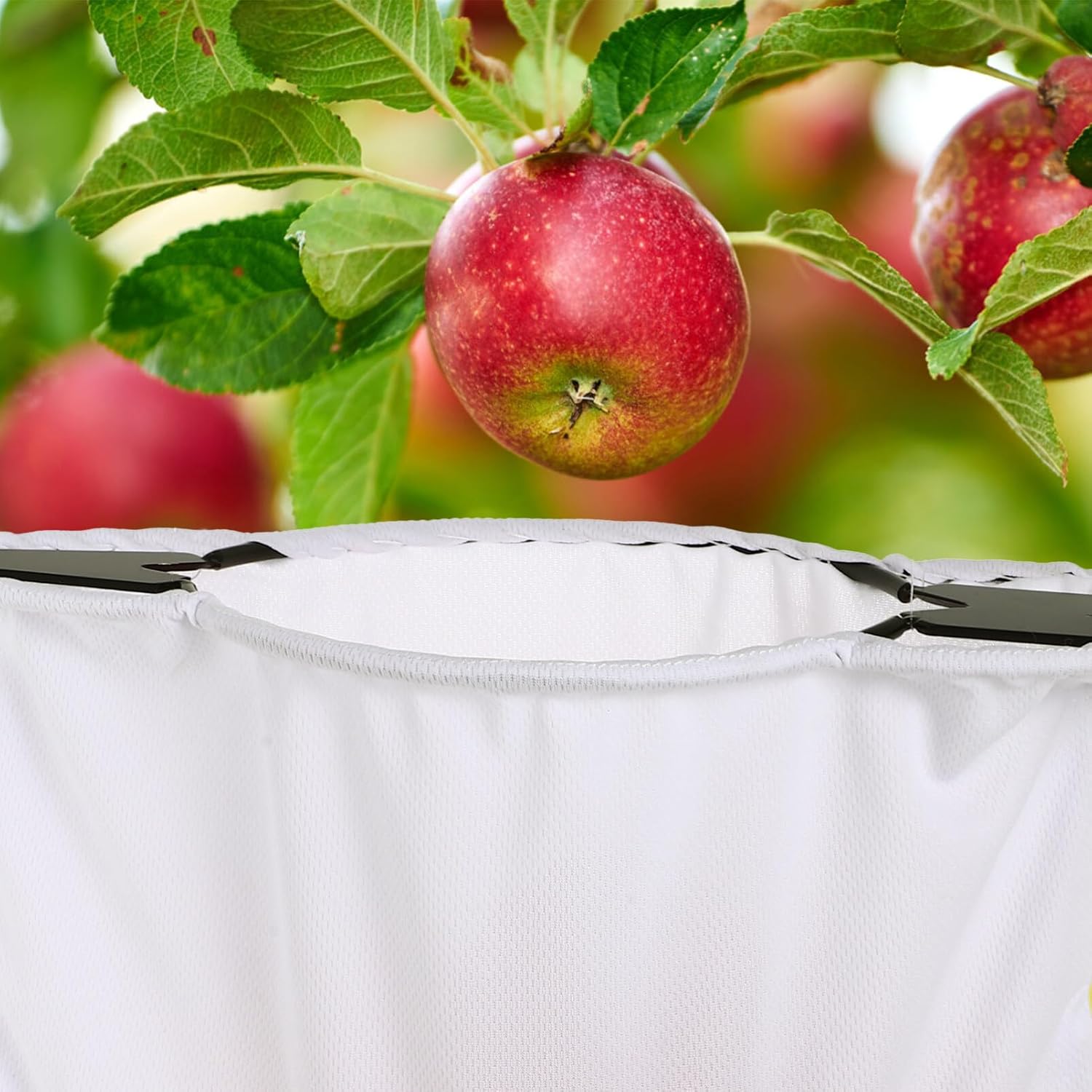 iplusmile Recolector de frutas Cosechadora de frutas Poste de recolección de frutas Herramienta de fruta de árbol de acero inoxidable Equipo de