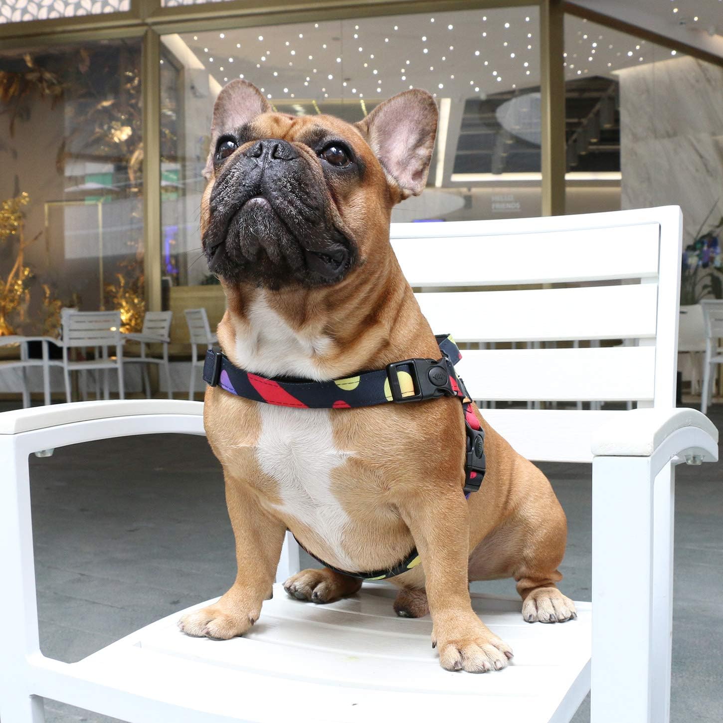 iChoue Arnés para perro, fácil de poner y quitar, arnés ajustable ligero con asa para perros pequeños y medianos, tamaño M