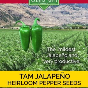 Jalapeño TAM – Pimienta reliquia – 10 semillas – Jalapeño más suave Jalapeño TAM – Pimienta reliquia – 10 semillas – Jalapeño más suave