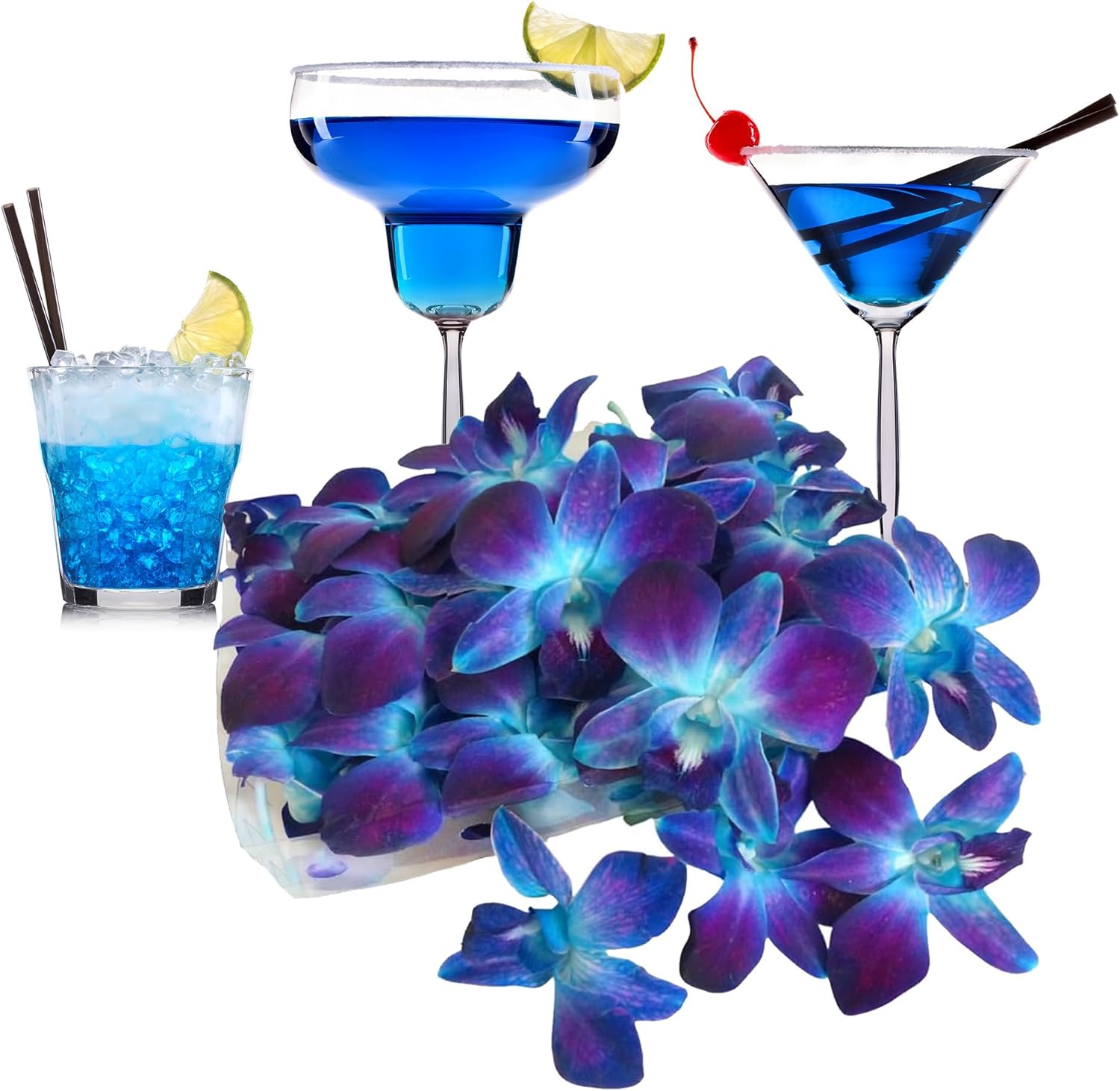 Miami Fresh Orchid Loose Bloom OrchidClub USA Sunne Tropical Flower Head DIY Lei Food Drink Decor (2 x 50 BLUE)