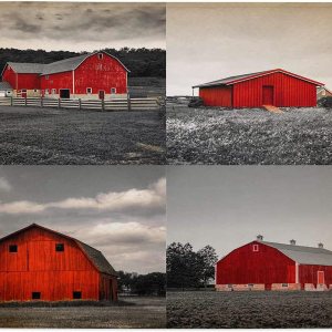 Tapete de baño, tapete de baño de graneros rojos de granja, suave, antideslizante, de secado rápido, absorbente, tapete de ducha de 18 x 30 pulgadas Tapete de baño, tapete de baño de graneros rojos de granja, suave, antideslizante, de secado rápido, absorbente, tapete de ducha de 18 x 30 pulgadas