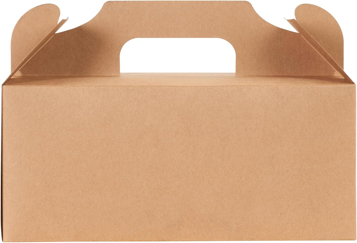Restaurantware Bio Tek – Cajas de regalo de 10.2 x 5.9 x 6.9 pulgadas con asas, 100 cajas rectangulares a dos aguas, con pestaña segura, resistentes
