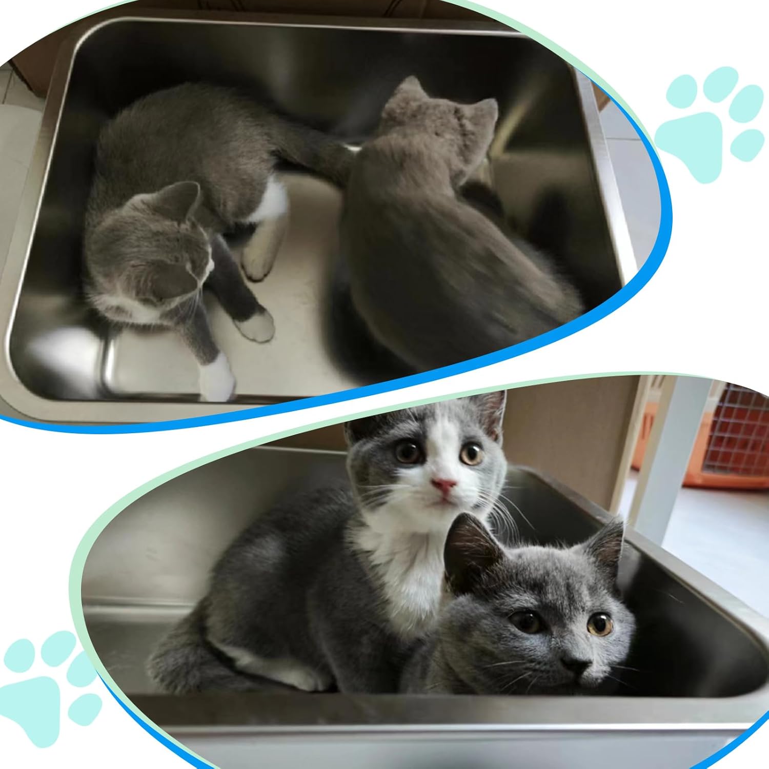 Therwen Paquete de 4 cajas de arena para gatos de acero inoxidable extra grandes, sartenes de metal para gatos, antiadherentes, superficie lisa, a