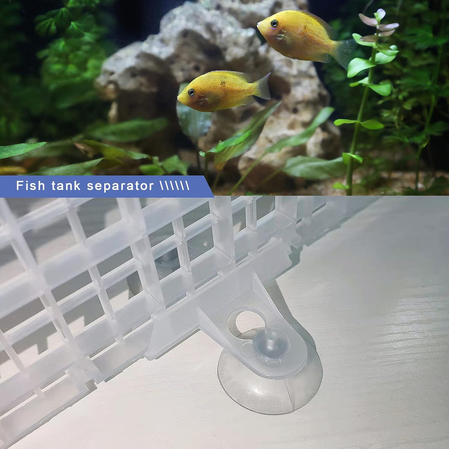 Create idea Separador de panel de división para acuario, separador de panel de división para acuario, reproducción mixta transparente para mantener