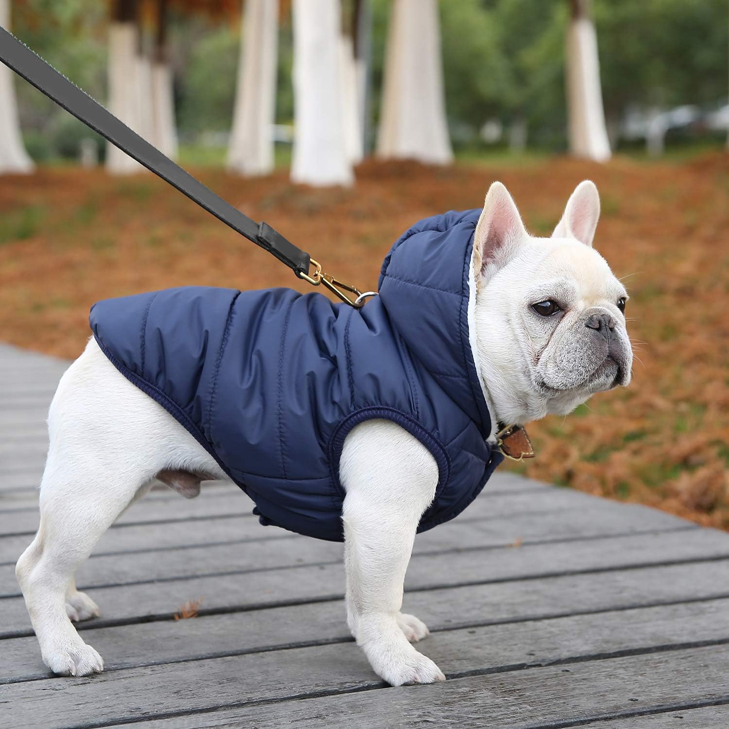 Sudadera con capucha de forro polar para perro, resistente al viento, abrigo impermeable con forro de algodón, chaqueta cálida para perro, chaleco
