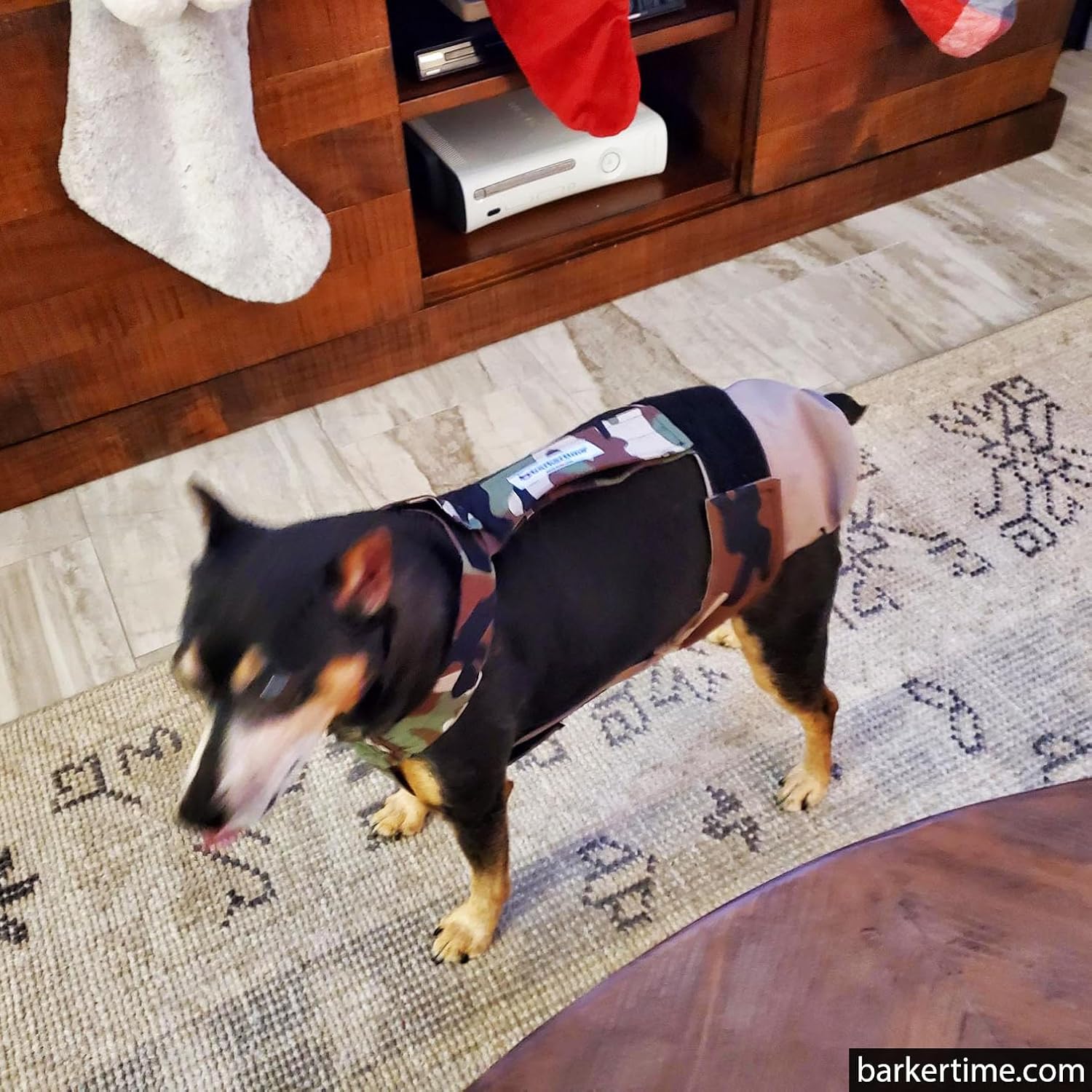 Pañal para perro Camo on Brown, XL, con agujero para la cola, fabricado en Estados Unidos