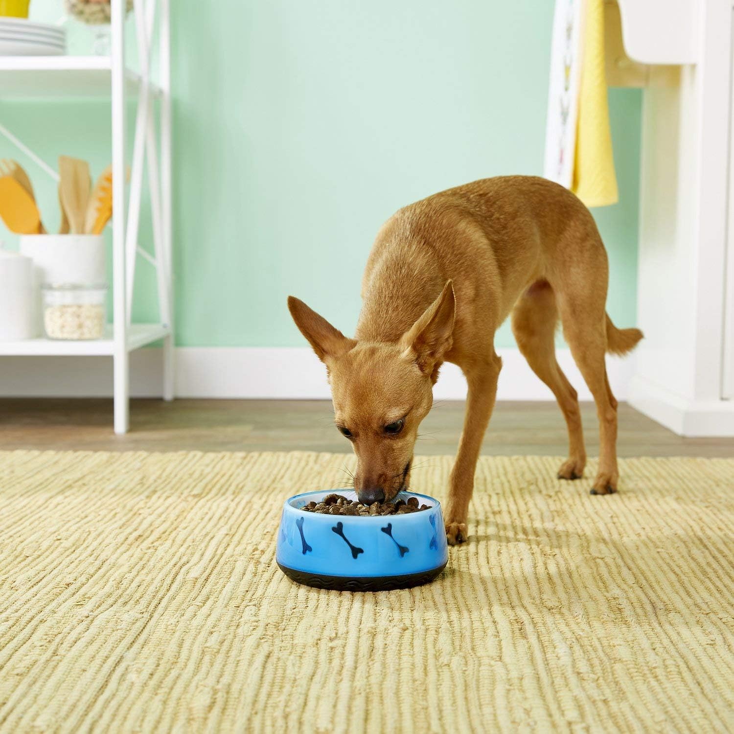 Dogit Cuenco antideslizante para comida y agua para perros, color azul, plato para perros sin BPA, 1 unidad (paquete de 1)