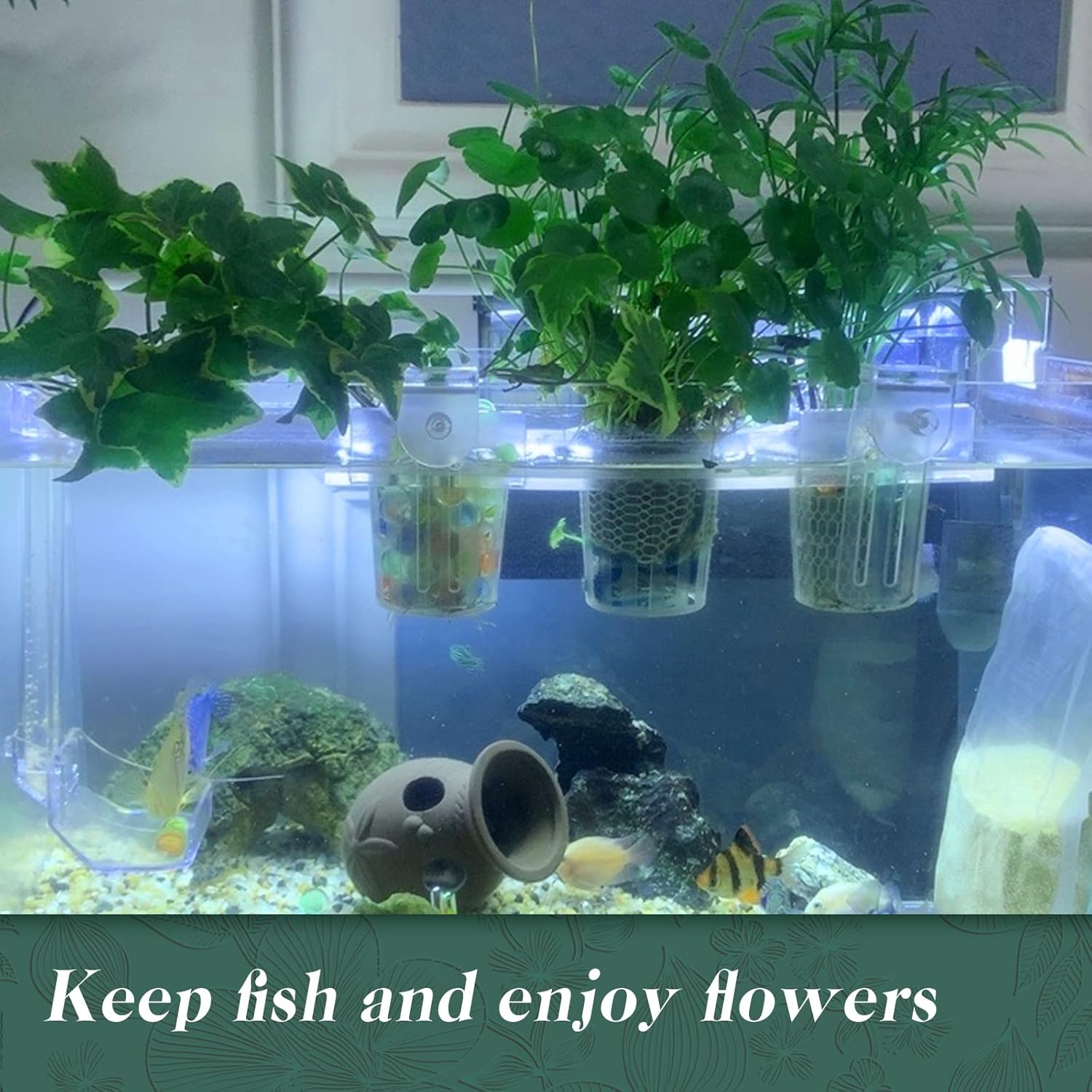 Soporte acrílico para plantas de acuario para colgar plantas acuáticas, gancho ajustable, maceta para plantas colgantes y decoración de acuarios