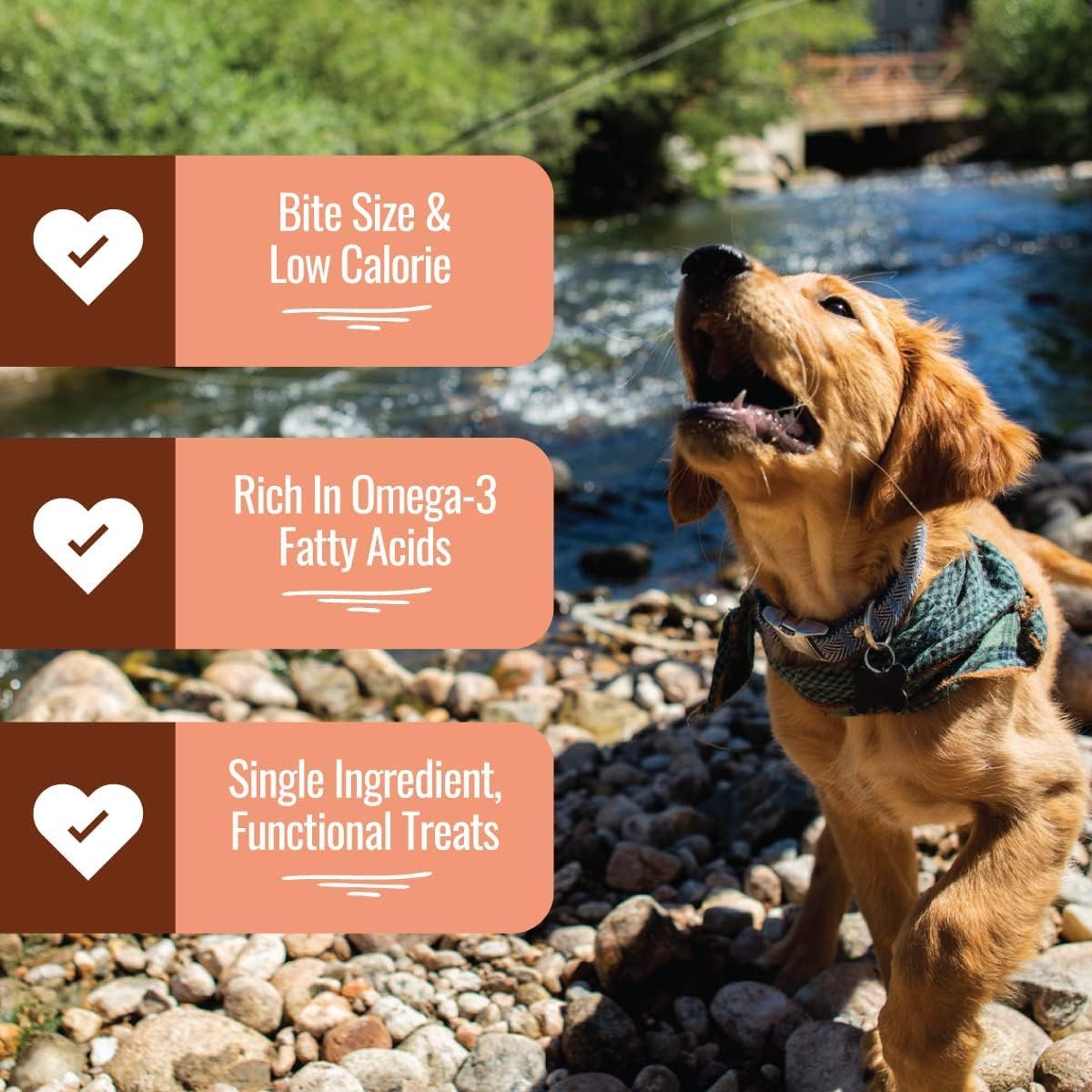 Smart Cookie Bocaditos de salmón liofilizado  Golosinas de salmón liofilizado de un solo ingrediente para perros  Golosinas de entrenamiento de