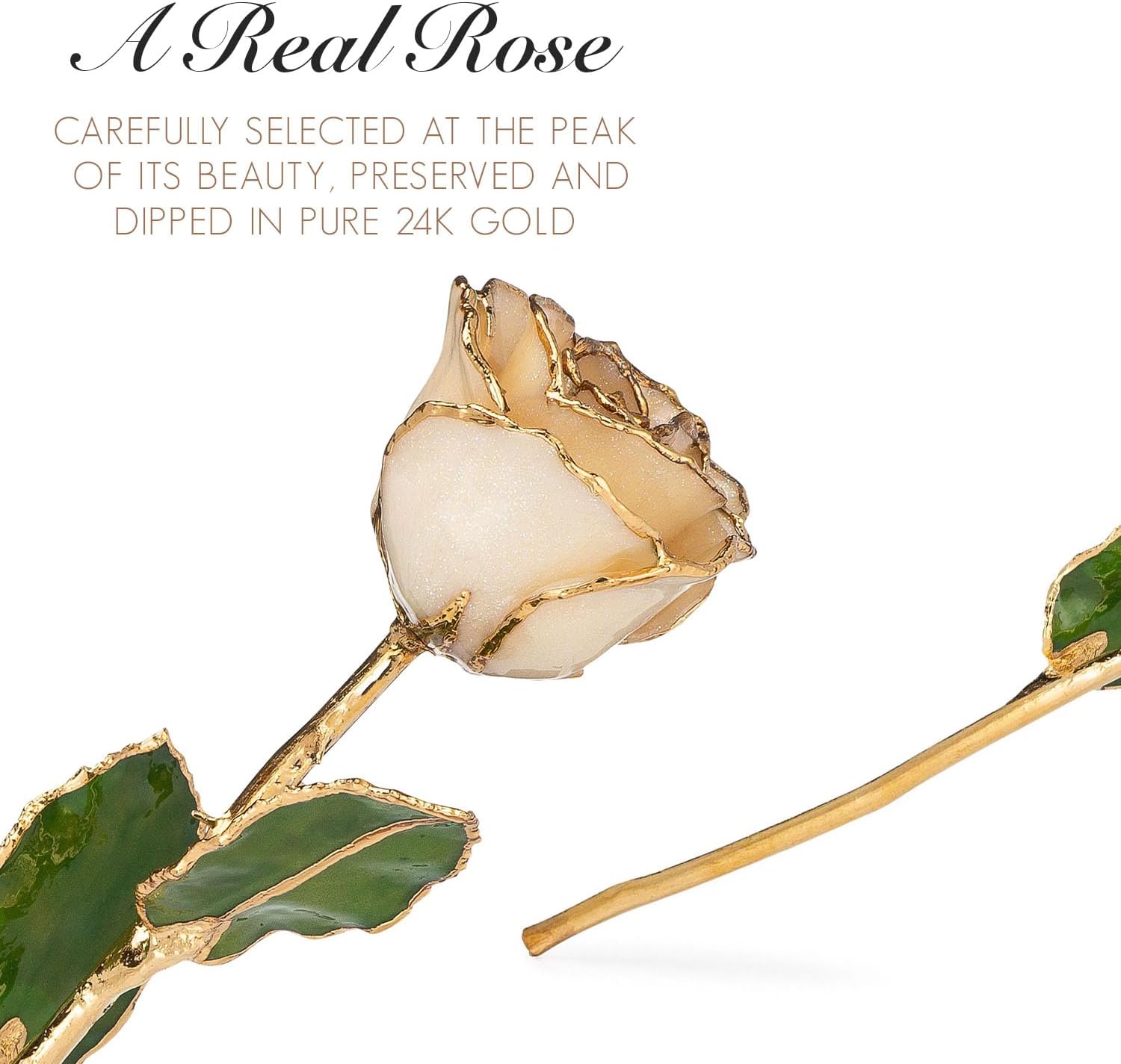 Forever Rose Rosa de diamante bañada en oro de 24 quilates, piedra natal de abril, una rosa blanca real única y eterna sumergida en oro de 24