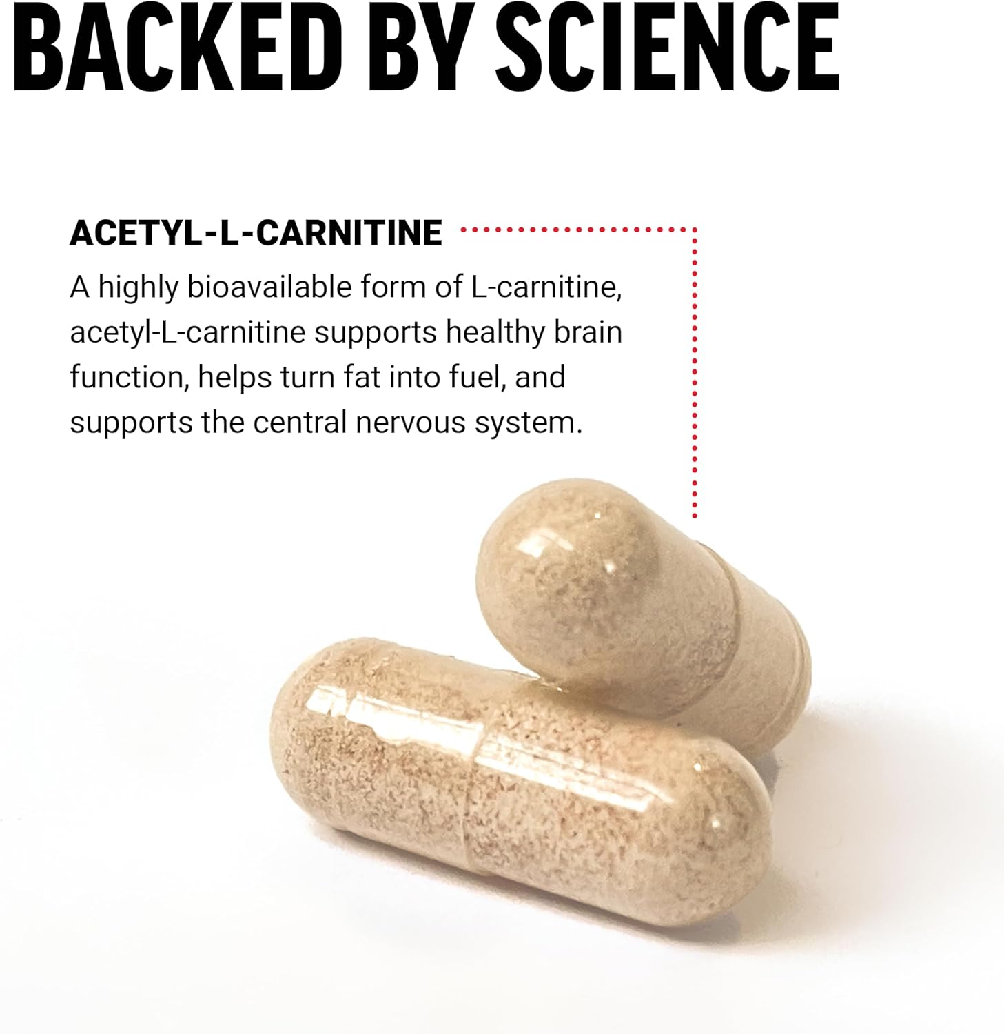 Force Factor Suplemento cerebral de acetil L-carnitina, suplemento de apoyo nervioso y refuerzo de energía celular, acetil L-carnitina 500 mg,