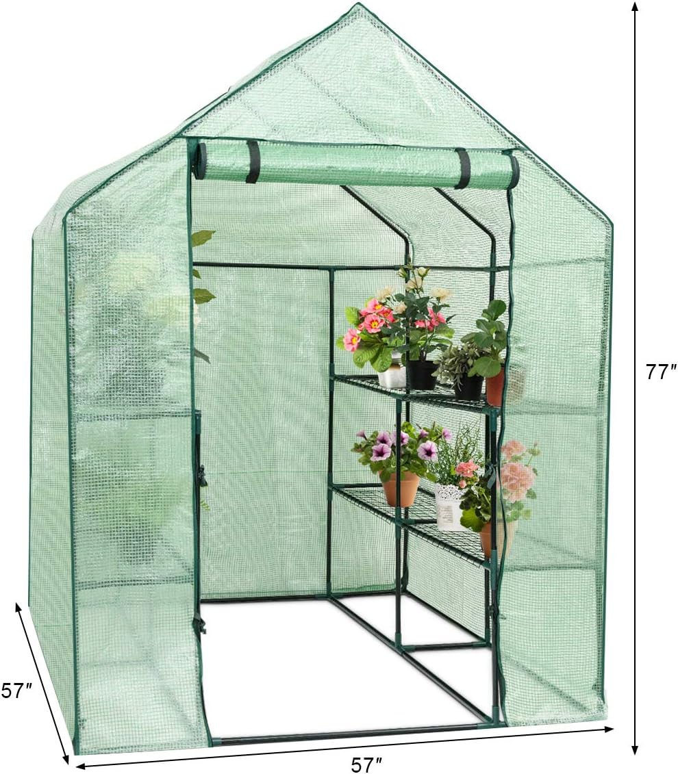 Safstar – Invernadero de 4.8 x 4.8 x 6.4 pies, casa verde con 2 estantes de malla de 8 niveles y puerta enrollable con cremallera, mini invernadero