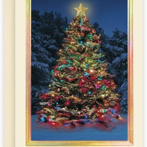 The Gallery Collection, Paquete de 25 tarjetas, tarjetas de Navidad con sobres forrados de aluminio (árbol de luz de estrella), para negocios o The Gallery Collection, Paquete de 25 tarjetas, tarjetas de Navidad con sobres forrados de aluminio (árbol de luz de estrella), para negocios o