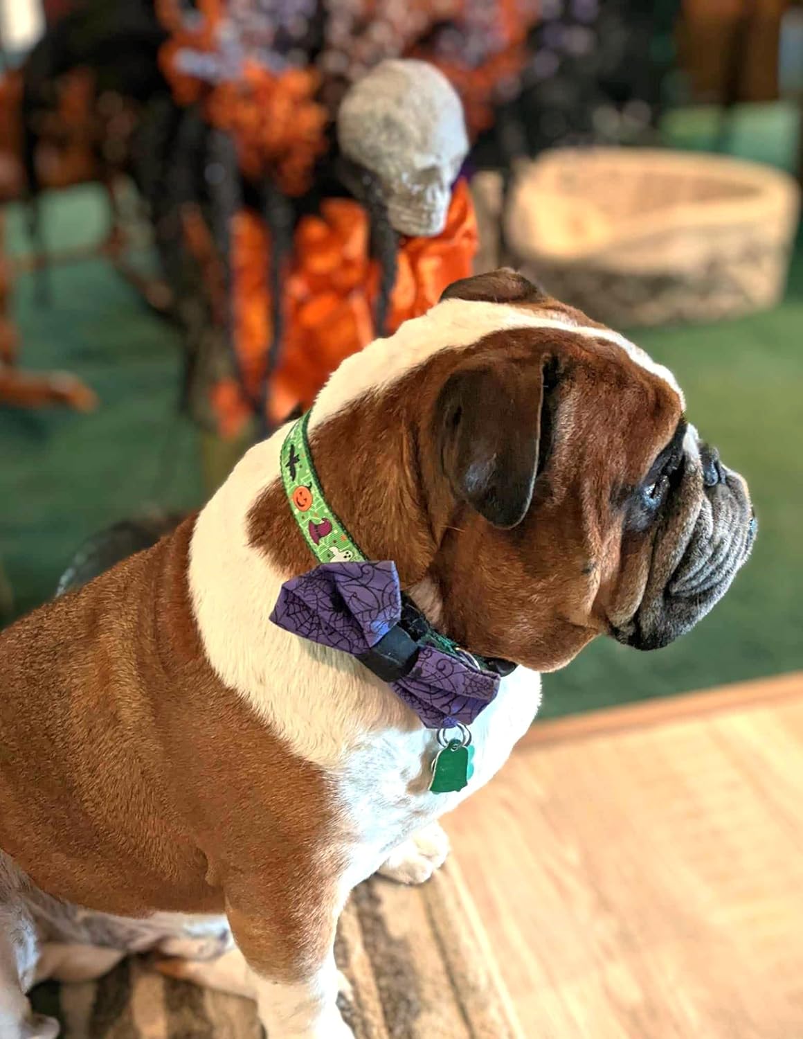 Halloween Dog Collar