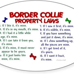 CafePress Border Collie Property Laws 2 – Pegatina ovalada para parachoques de coche CafePress Border Collie Property Laws 2 – Pegatina ovalada para parachoques de coche