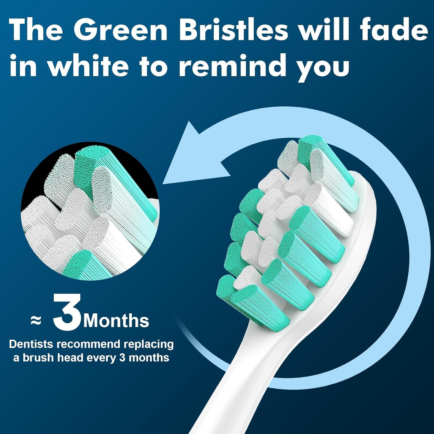 Cabezales de repuesto para cepillos de dientes compatibles con Philips Sonicare Protectiveclean G2 C1 C2 4100 5100 6100 9024 6250, blanco, 10