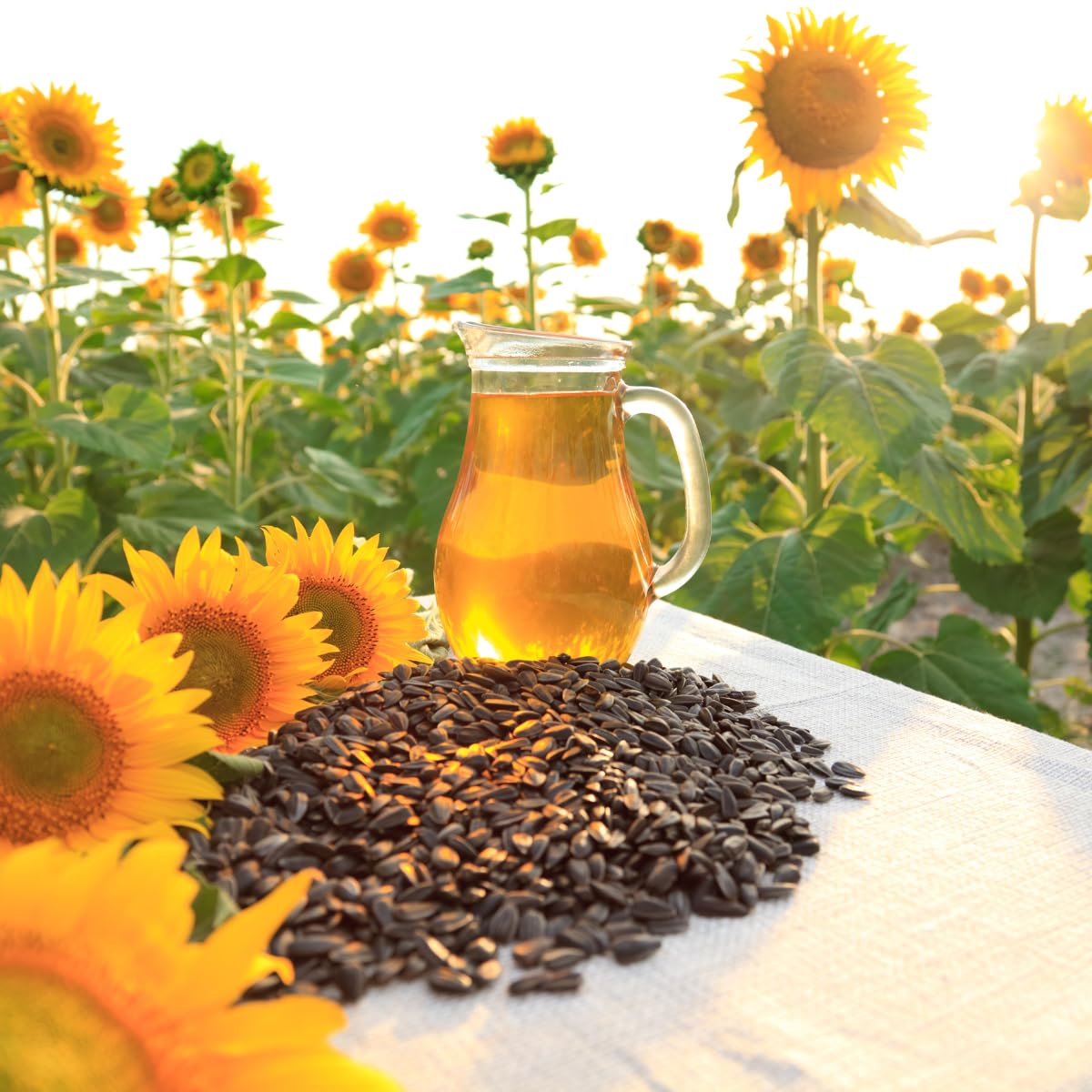 David’s – Semillas de girasol gigante, tostadas y saladas, 5.25 onzas (paquete de 2, 10.5 onzas en total)