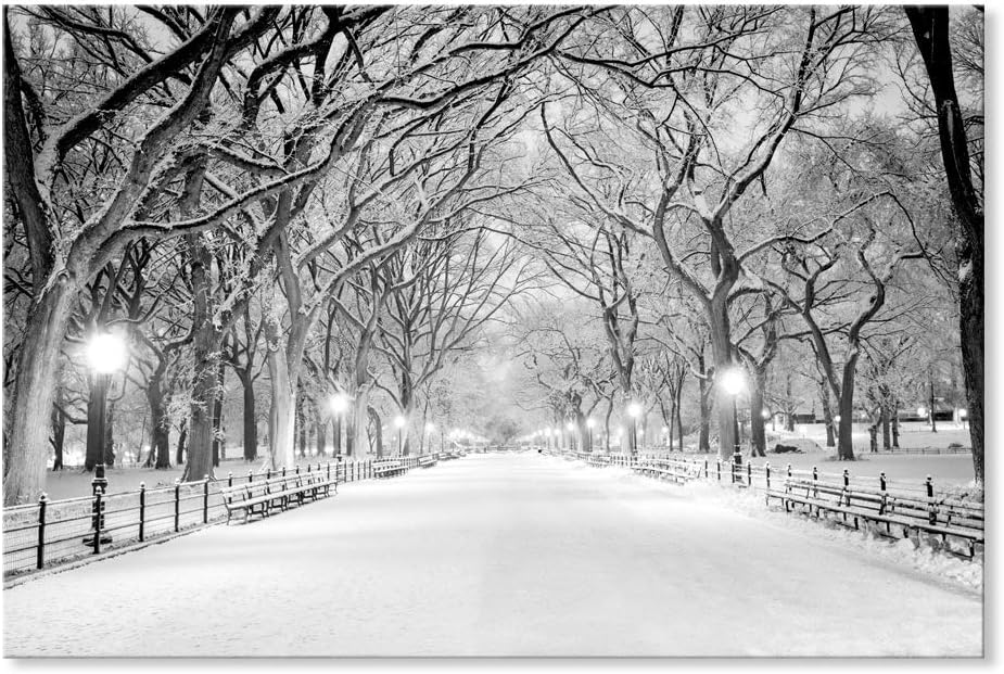SEVEN WALL ARTS Hermoso lienzo de invierno para pared, paisaje, árboles nevados, parque central, lienzo, moderno, fresco, cuadros de pared,