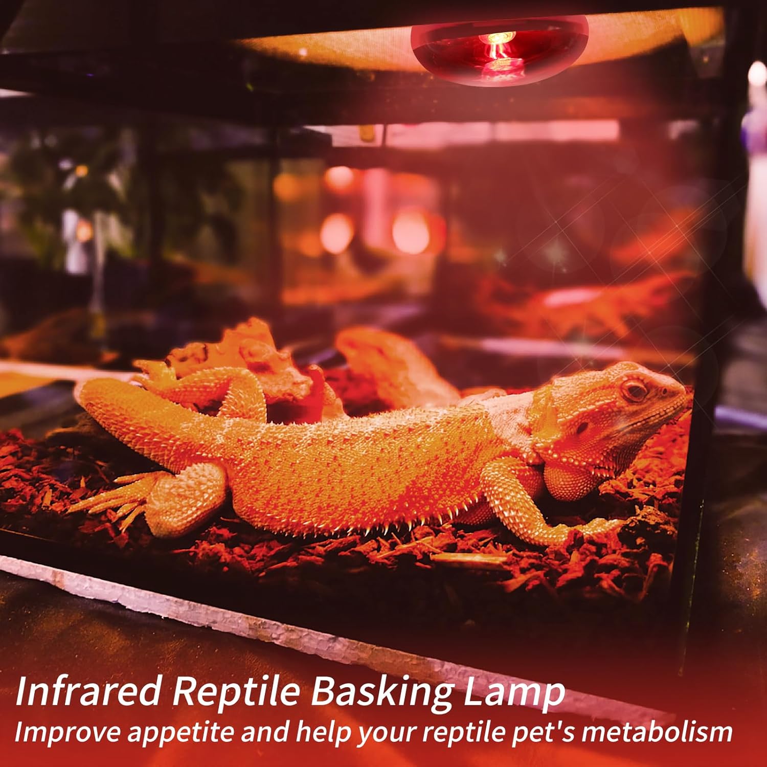 REPTI HOME Paquete de 3 bombillas infrarrojas de calor para reptiles, 75 W, para reptiles y anfibios, bombilla infrarroja emisora de calor para