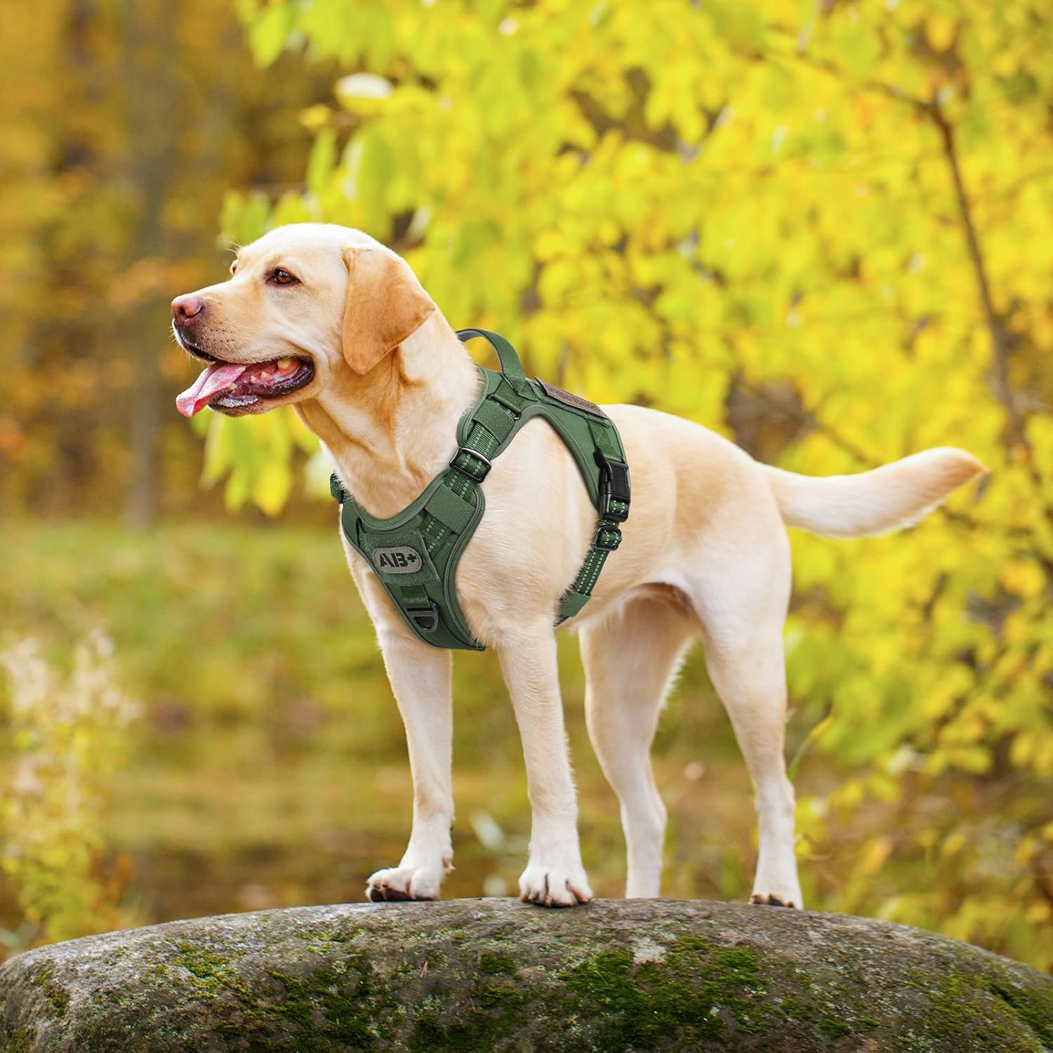 rabbitgoo Arnés para perros pequeños, medianos y grandes, chaleco de servicio táctico militar sin tirones con tiras reflectantes y asa de control,