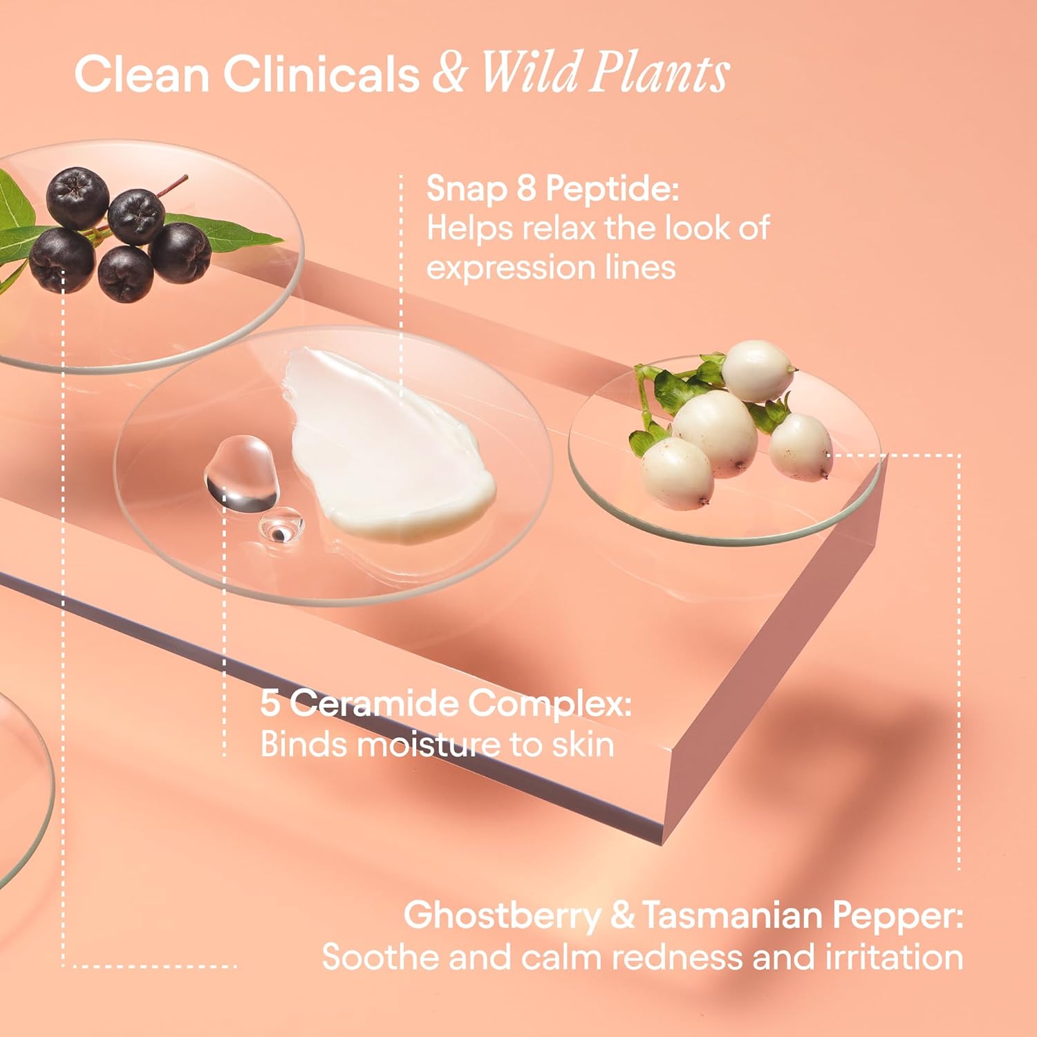 Alpyn Beauty Super Peptide & Ghostberry Hidratante para reparación de eczema, barrera y arrugas  Calma y calma contra el enrojecimiento y la