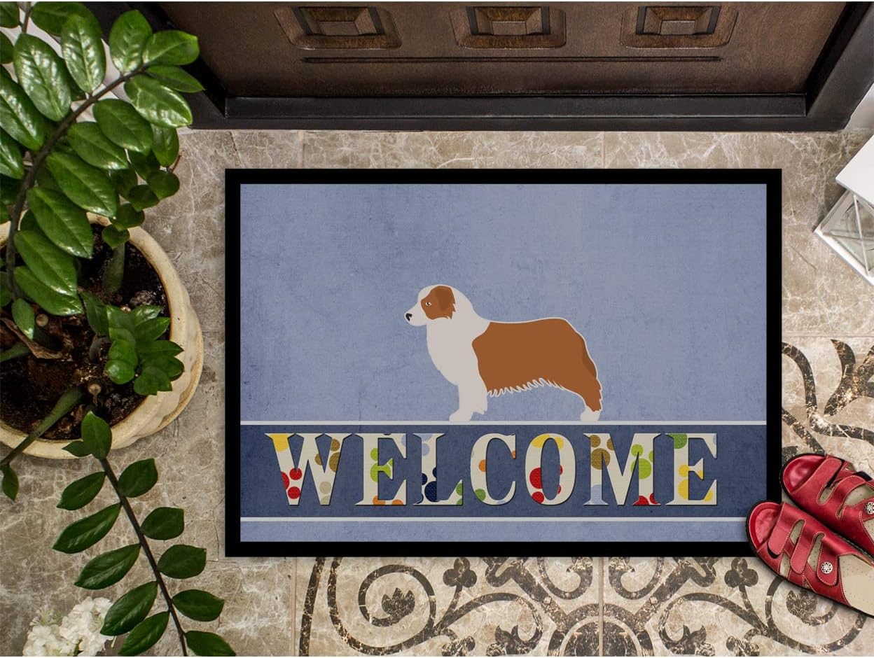 Caroline’s Treasures BB5537JMAT – Felpudo de bienvenida para perros de pastor australiano, alfombra para interiores o exteriores, 24 x 36 pulgadas,