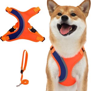 _ Juego de arnés y correa para perro, arnés ajustable para cachorro, chaleco suave y reflectante para perros pequeños y medianos que caminan (M, _ Juego de arnés y correa para perro, arnés ajustable para cachorro, chaleco suave y reflectante para perros pequeños y medianos que caminan (M,
