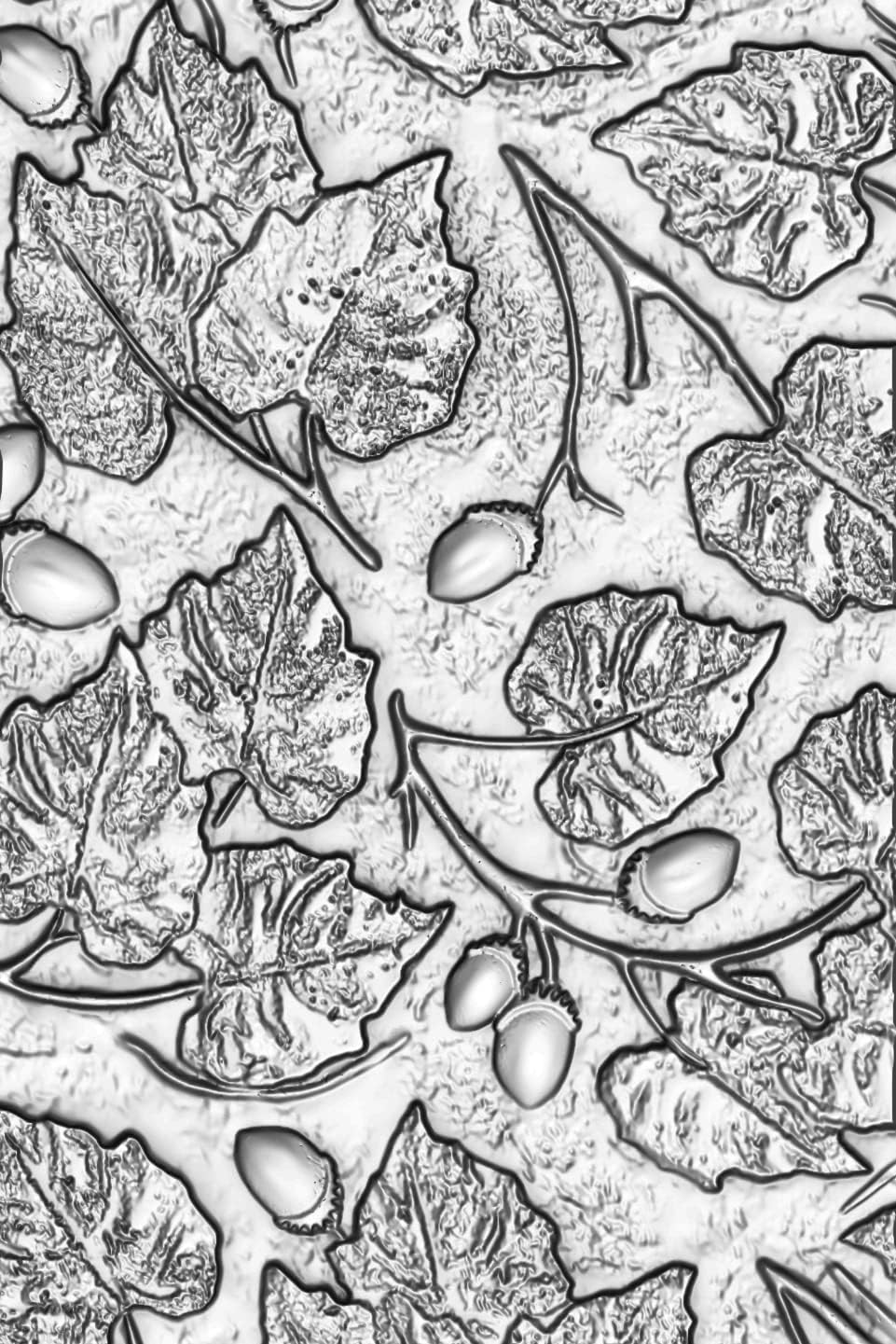 Sizzix Sizzx 3-D Texture Fades – Carpeta de estampado de bellotas por Tim Holtz  665772  Capítulo 3 2022, multicolor