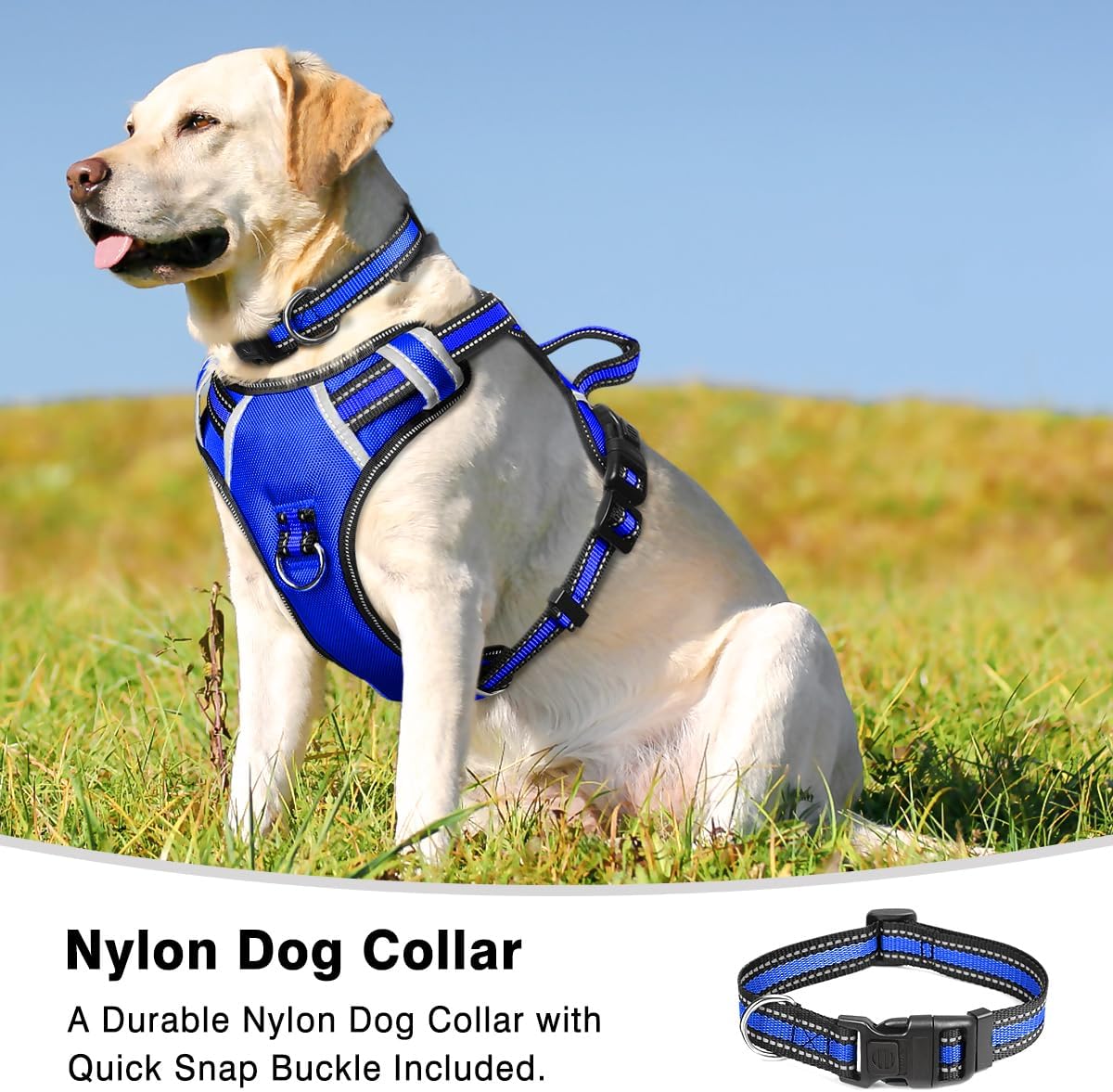 WINSEE Arnés para perro sin jalones con collar chaleco reflejante ajustable Oxford, broches para correa delantero y trasero para perros pequeños,