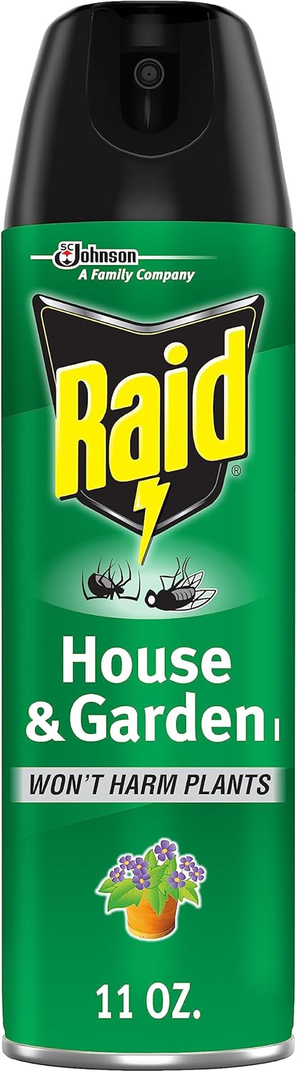 Raid House & Garden – Aerosol para matar insectos, aroma a naranja, 11 onzas (paquete de 1)