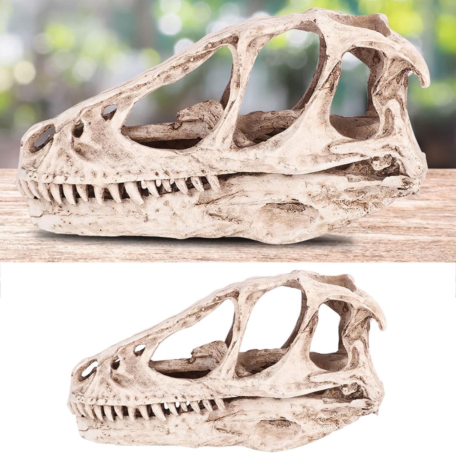 TOPINCN Modelo de calavera de dinosaurio, esqueleto de animal simulado, realista y vívido, perfecto para decoración de oficina en casa, accesorio de