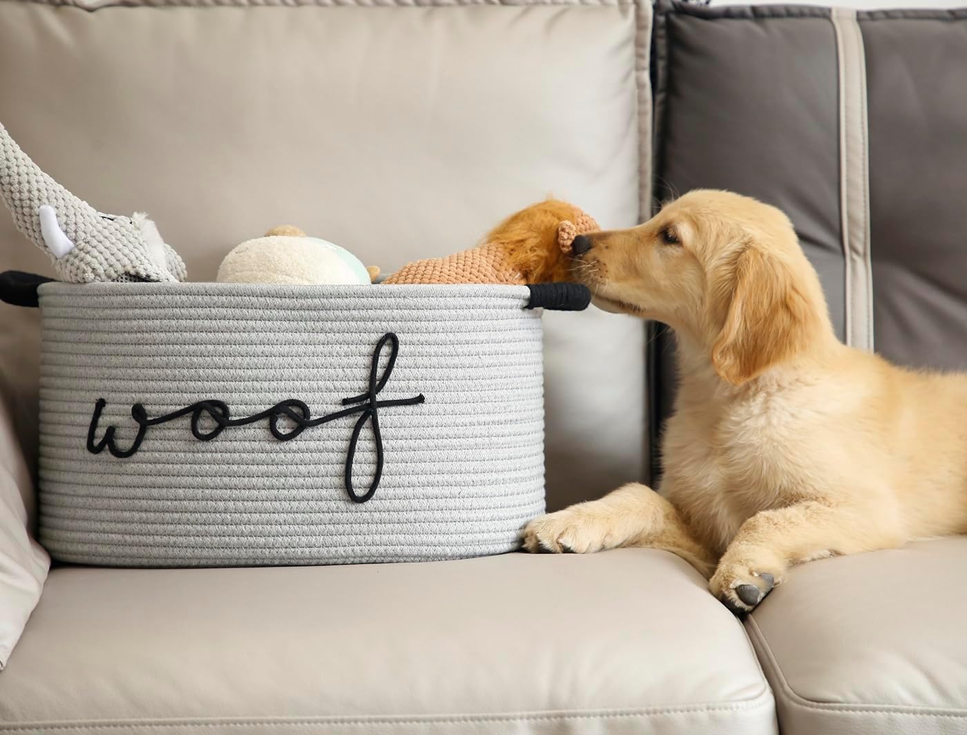 CIKI HOME Woof – Cesta de juguetes para perros, cestas tejidas para mascotas, caja de almacenamiento con asas duraderas, suministros para mascotas,