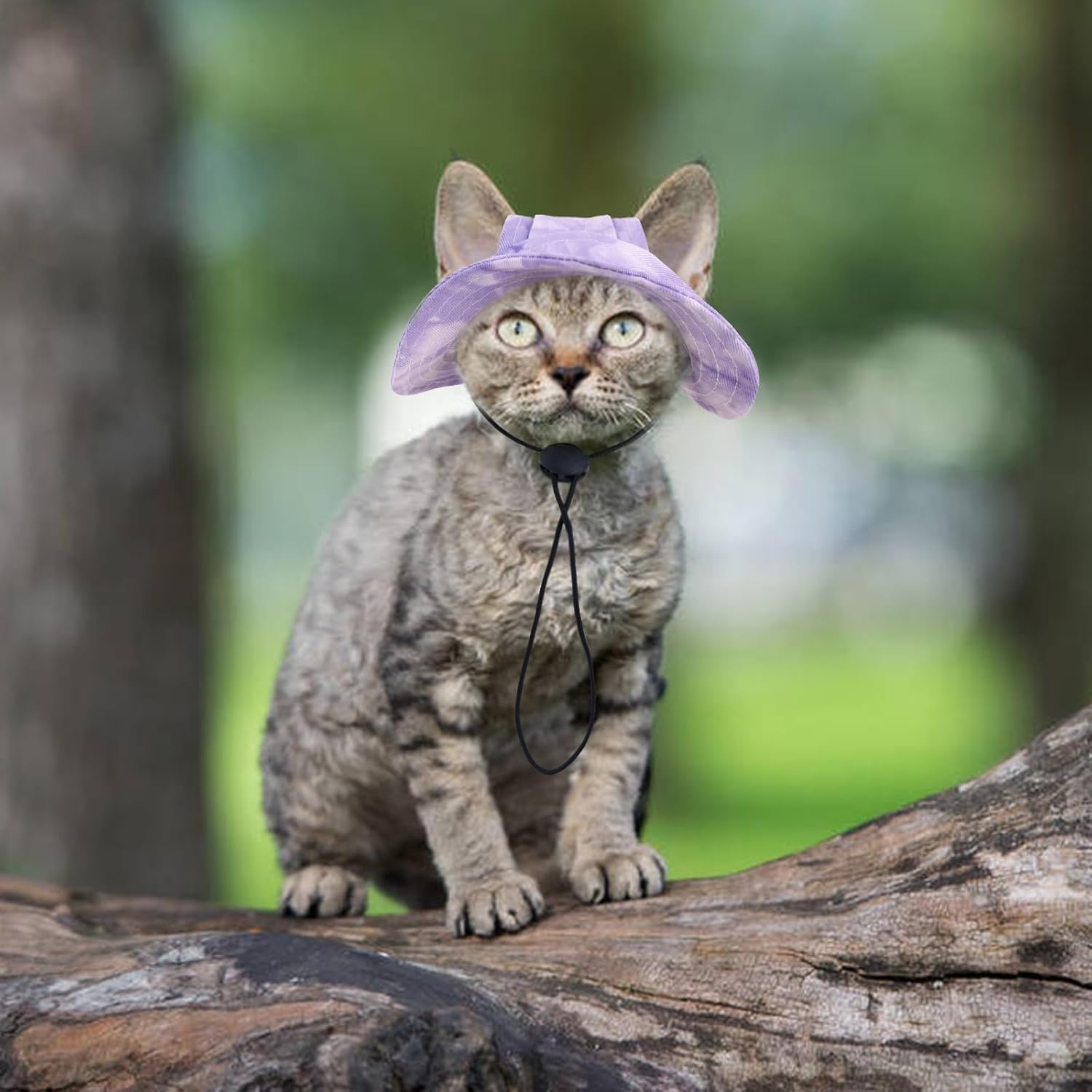 Bonaweite Sombreros de gato solo para gatos, sombrero Sphynx con agujero para las orejas, sombreros de vaquero para fiesta de cumpleaños Halloween,