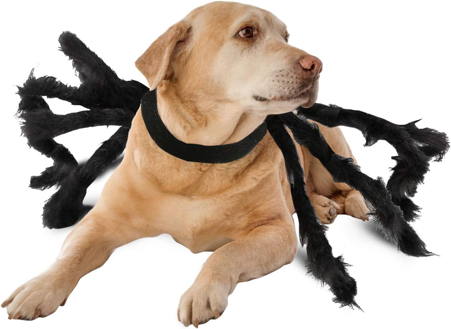 Disfraz de Halloween para mascotas, perros, sudadera de arañas, ropa de cosplay, ropa para mascotas, perros, Halloween, divertido, perro, cachorro,