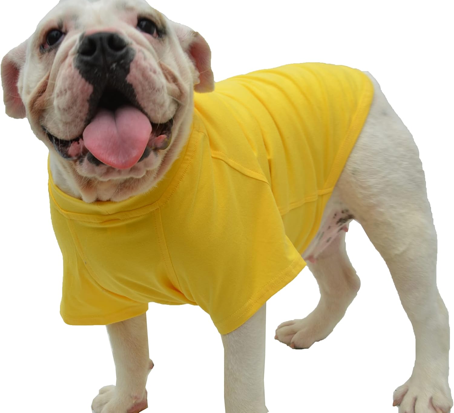 Lovelonglong 2019 – Ropa para mascotas, Disfraces para Perro, Ropa Camisetas en blanco para Perros Grande Medianos Pequeños 100% Algodón 18 Colores,