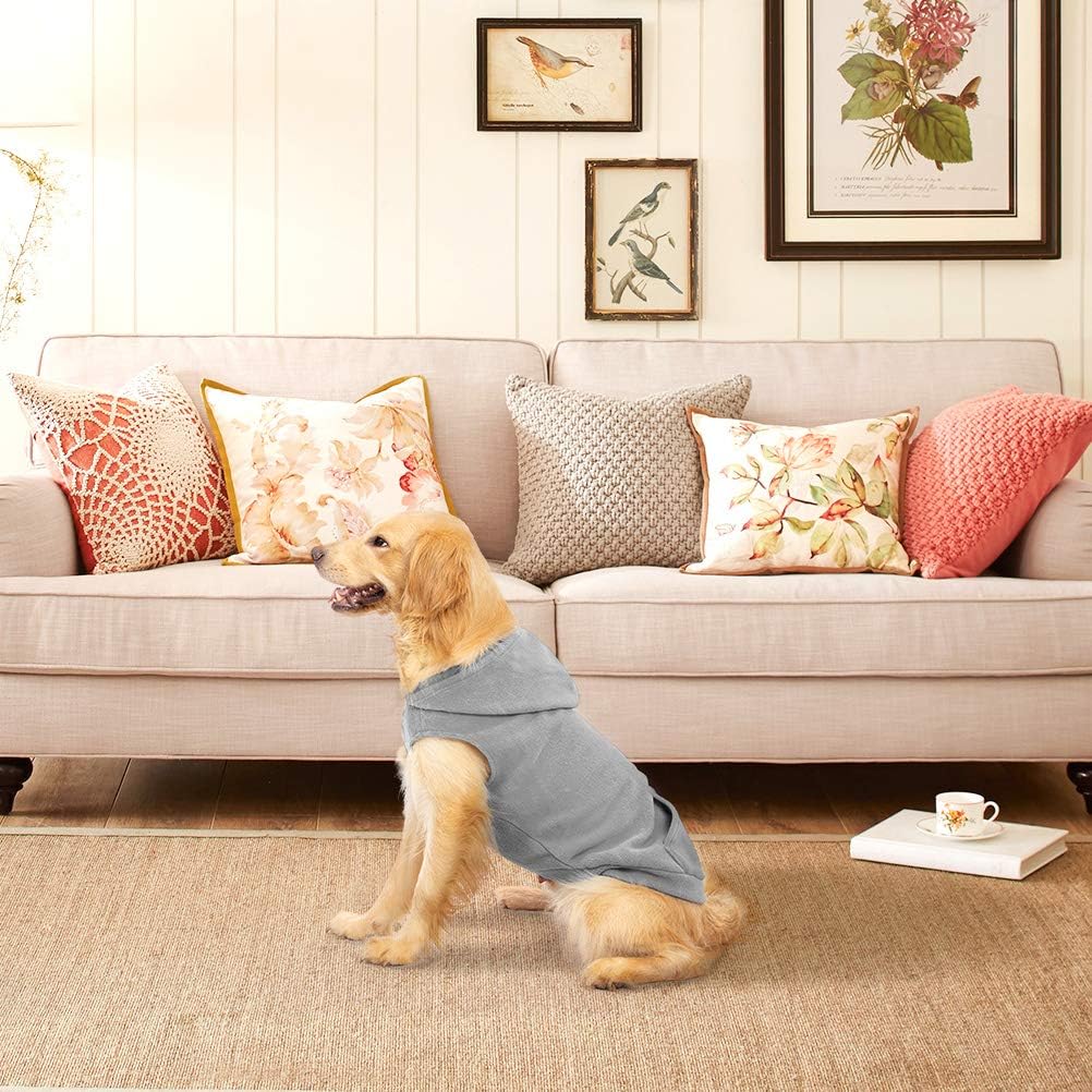 Sudaderas de polar para perros, con capucha, bolsillo, para clima frío, primavera, Chaleco, Sudadera con junta tórica, m, gris