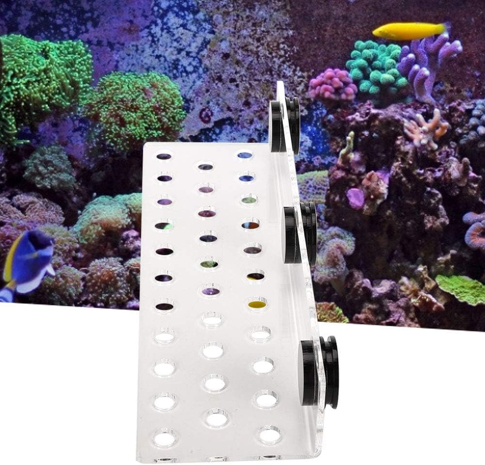 TOPINCN Coral Frag Rack Acrílico Magnético Coral Frag Soporte Soporte Coral SPS Botón Base para acuario de pecera (32 agujeros)