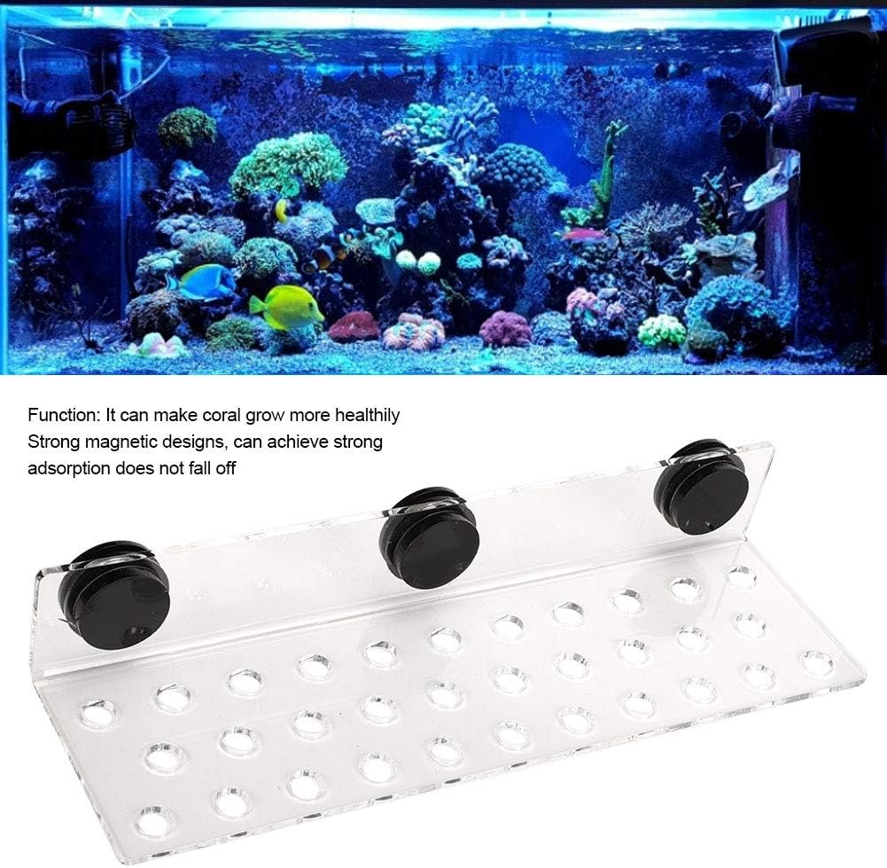 TOPINCN Coral Frag Rack Acrílico Magnético Coral Frag Soporte Soporte Coral SPS Botón Base para acuario de pecera (32 agujeros)