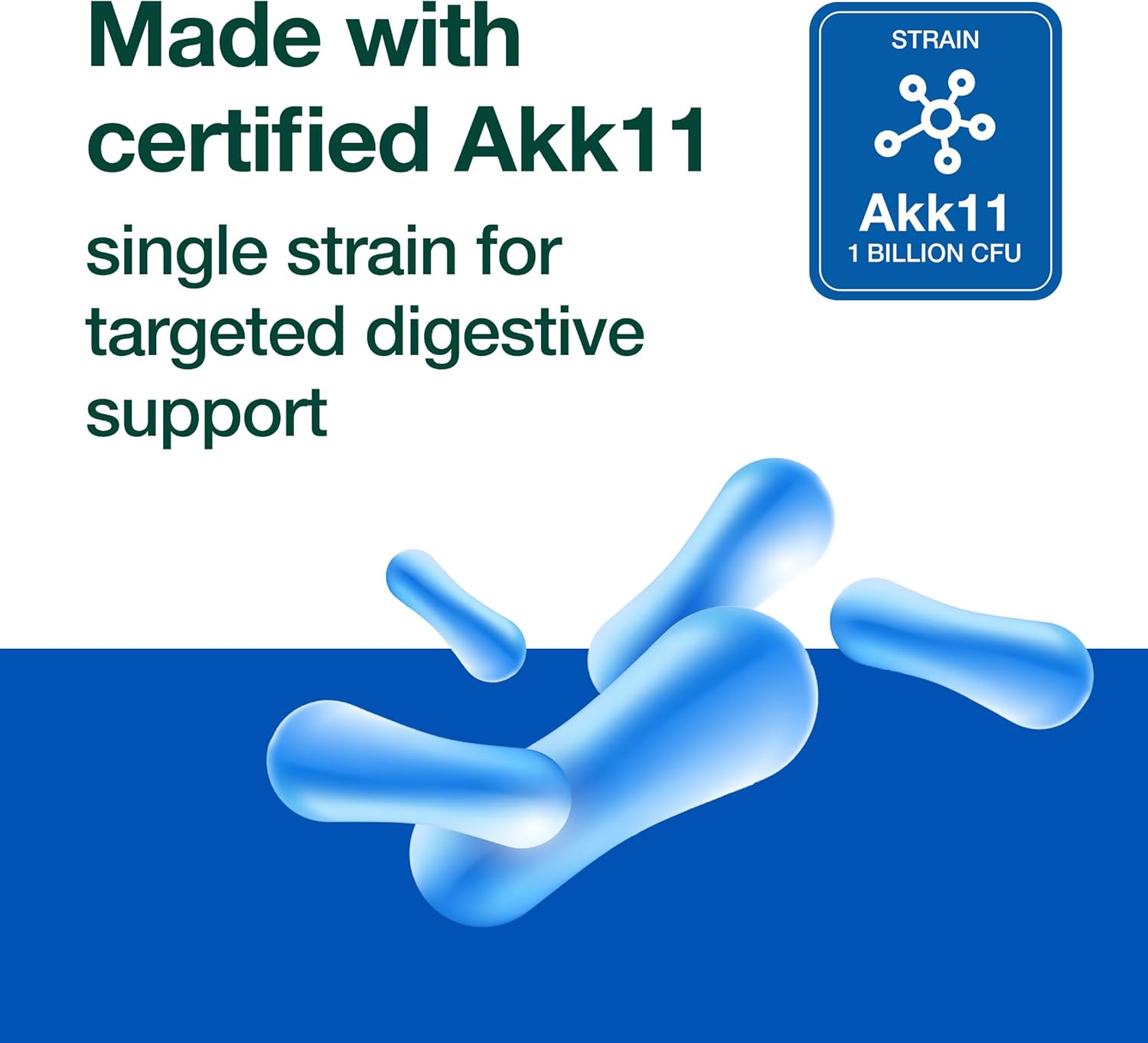 Akkermansia Muciniphila Probiotic 1 mil millones de AFU para producción de GLP-1 – Suplemento probiótico pre + – 60 cápsulas