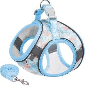 JOYPAWS Juego de arnés y correa para cachorro, arnés de chaleco para perro con malla transpirable, rayas reflectantes, arnés ligero para mascotas JOYPAWS Juego de arnés y correa para cachorro, arnés de chaleco para perro con malla transpirable, rayas reflectantes, arnés ligero para mascotas