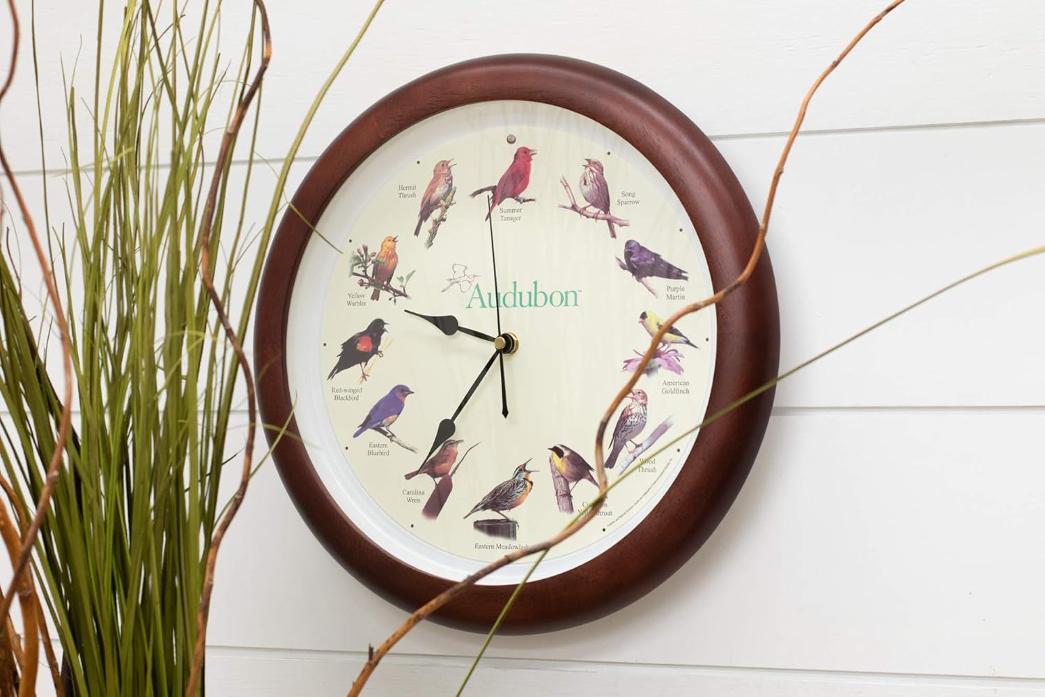 Mark Feldstein Audubon – Reloj de pared con diseño de pájaro cantante, marco de madera con acabado de cerezo de 13 pulgadas