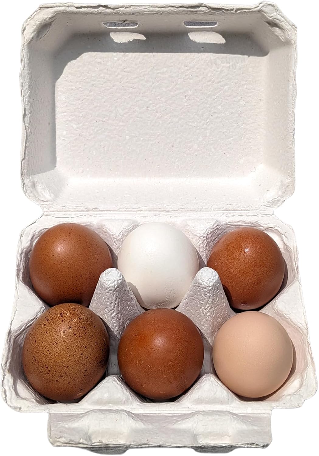 Henlay Cajas blancas de media docena de huevos – Paquete de seis tapas planas en blanco (20)