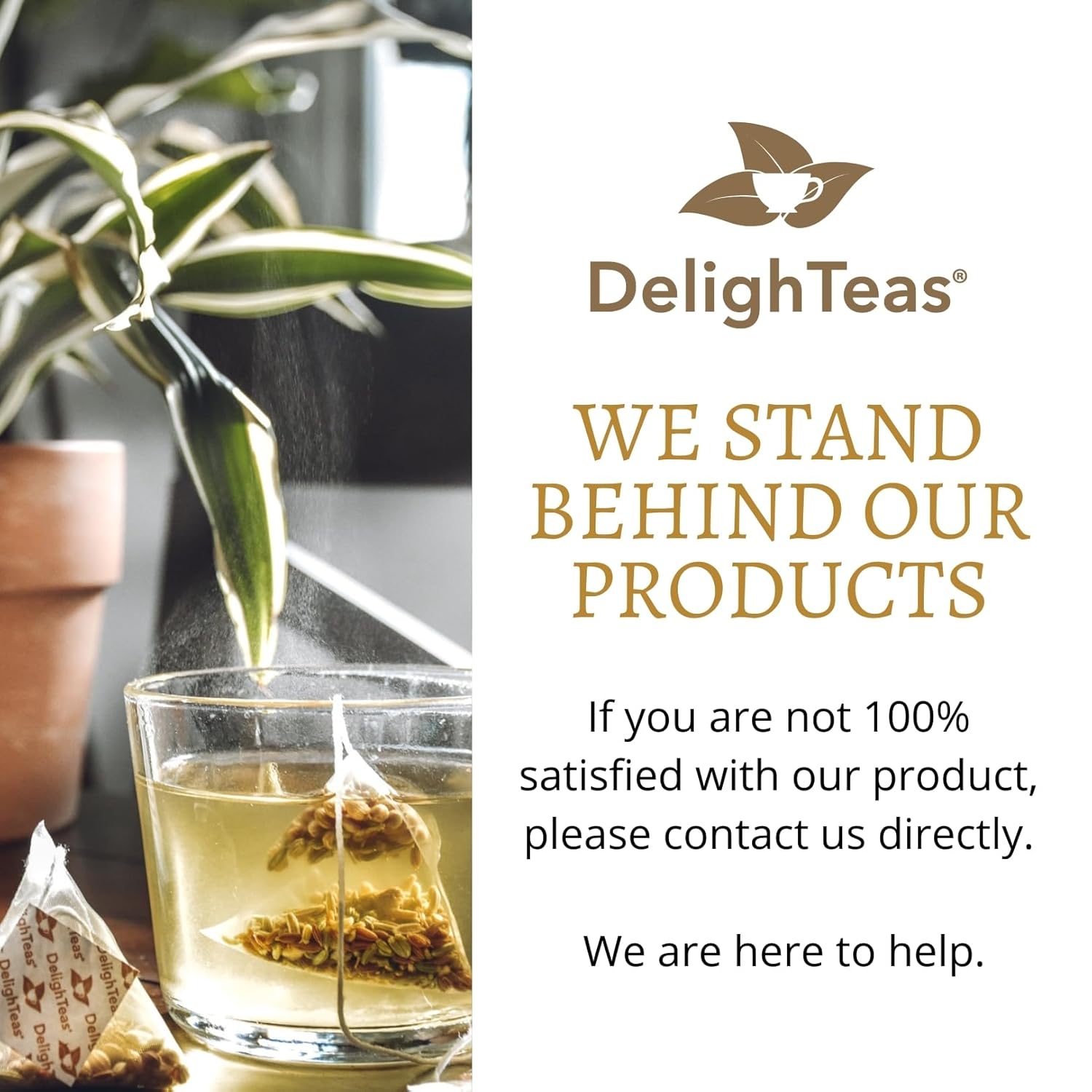 DelighTeas Té de jengibre orgánico Detox CCF  Recambio de bolsas de té piramidal ecológicas  Comino ayurvédico, cilantro, té de jengibre de hinojo