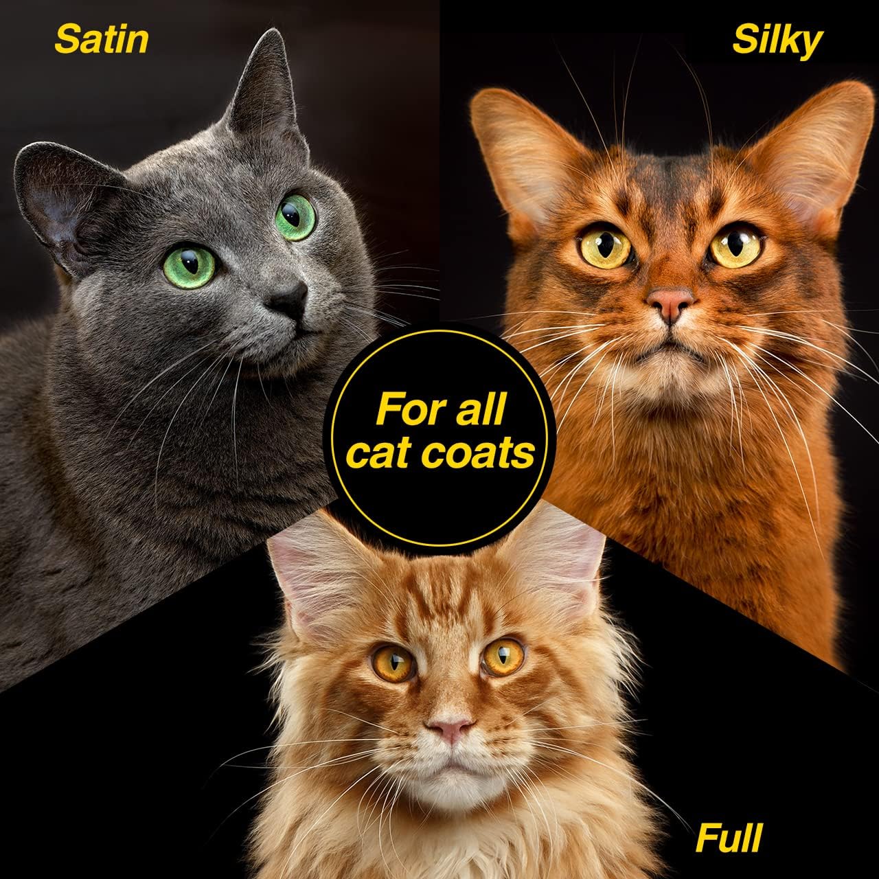 Chris Christensen Top Cat – Champú de lavado facial para gatos, novio como un profesional, suave y sin lágrimas, sin sulfatos y jabón, 8 onzas