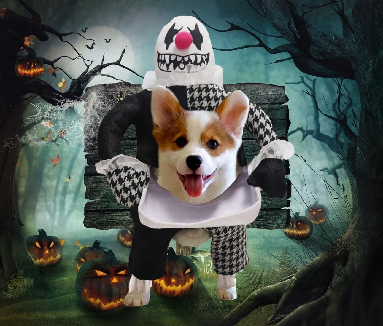 Roctocesy Disfraces de Halloween para perros y mascotas, divertidos, fantasma, cosplay, ropa de fiesta, ropa de diablo con cabeza de cachorro