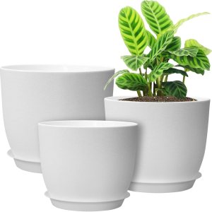 UOUZ Macetas grandes y modernas, 12109, macetas de plástico con agujeros de drenaje y platillos para plantas de interior y exterior, flores, color UOUZ Macetas grandes y modernas, 12109, macetas de plástico con agujeros de drenaje y platillos para plantas de interior y exterior, flores, color